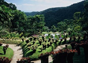 martinique4