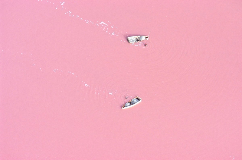 pink lake.3