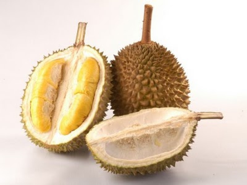 Le durian, le fruit puant!