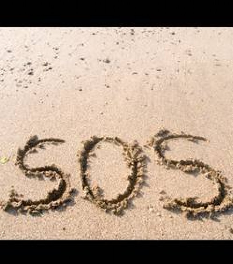 Quelques suggestions pour survivre sur une île déserte…