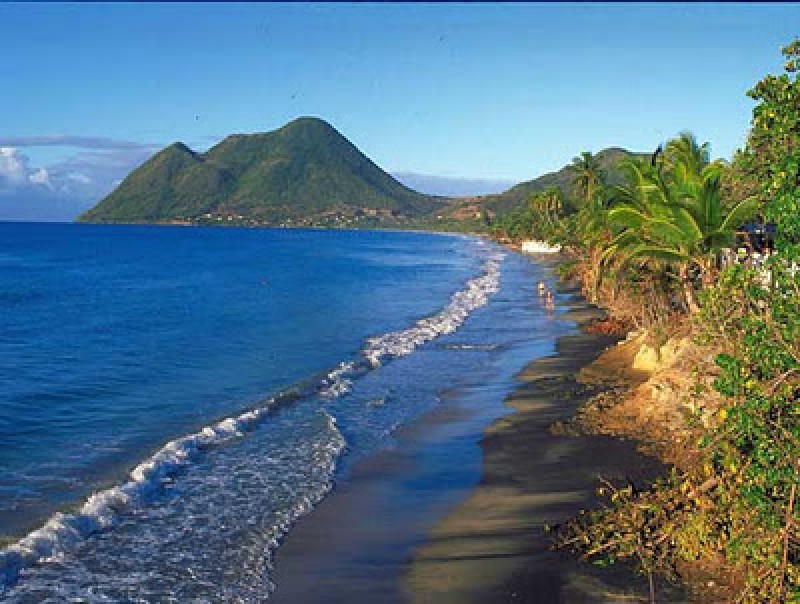 La Martinique: fleur des Caraïbes