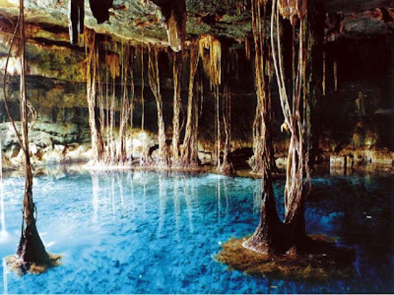 Plonger dans les cenotes du Mexique