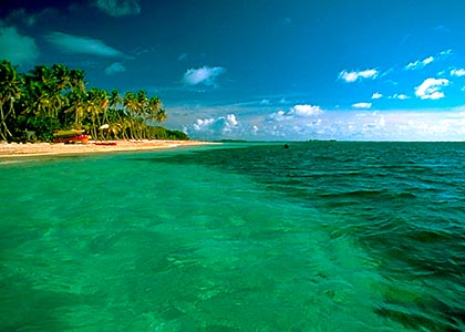 La Martinique, fleur des Caraïbes
