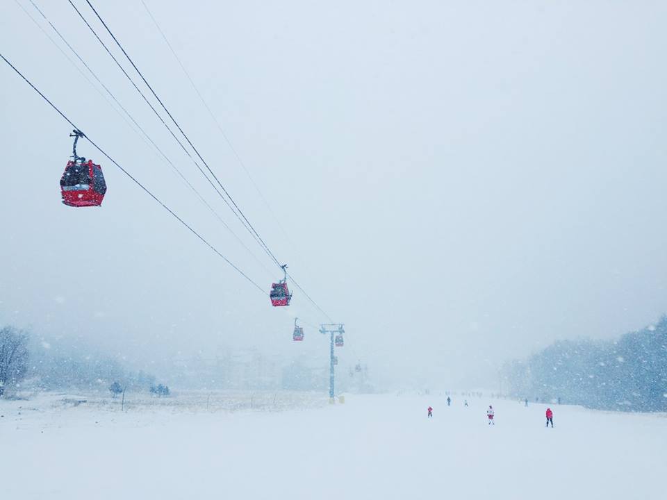 13124435_10208207969491454_1302568920674920101_n Voyages Bergeron