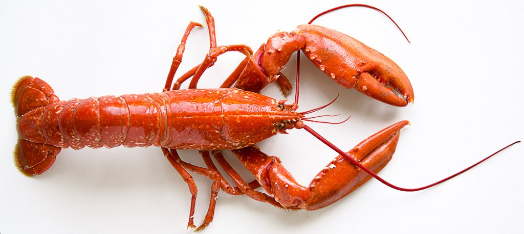Évitez le teint « rouge homard » cette année!