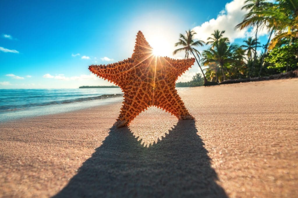 Voyager pour la nourriture dans les Caraïbes!