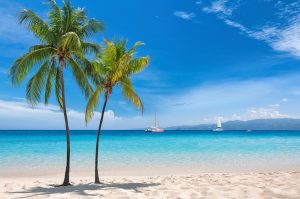 Montego Bay, Negril ou Ocho Rios : quelle région choisir selon votre style de voyage?