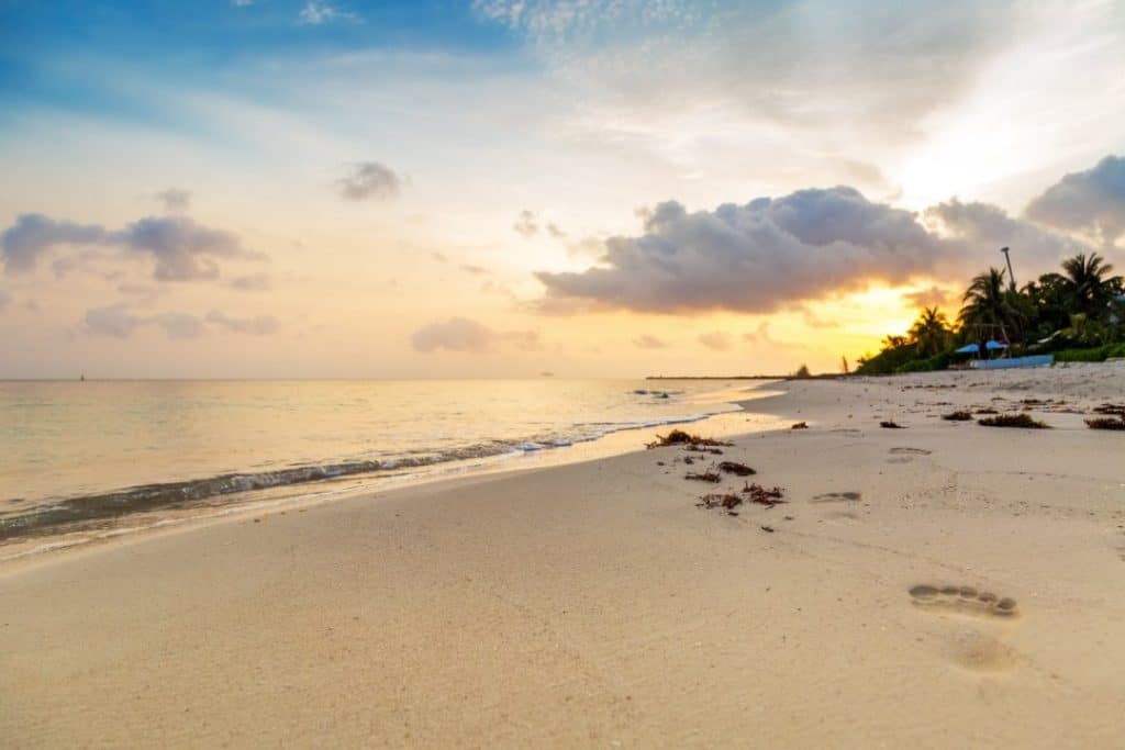 Cozumel, Mazatlán et Liberia : trois destinations Soleil à découvrir cet été ☀️