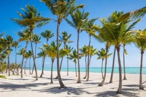 Early booking vs dernière minute : quelle stratégie pour économiser sur un forfait dans le Sud ?